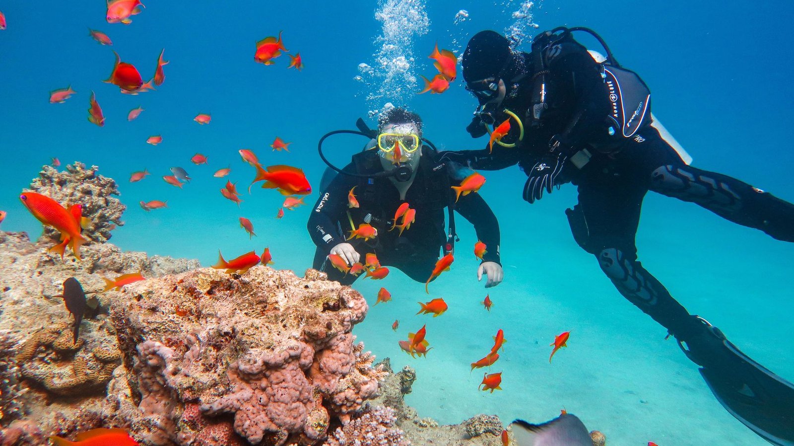 Two divers among orange anthias over a Fujairah reef