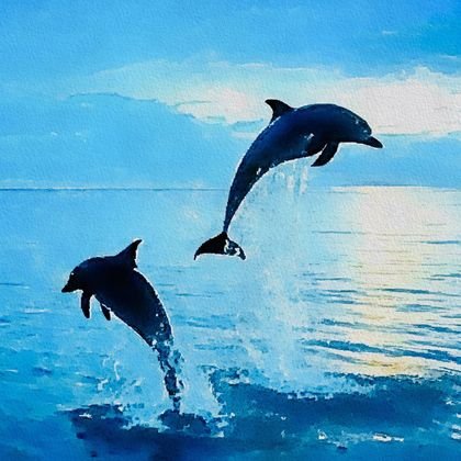 Dolphins