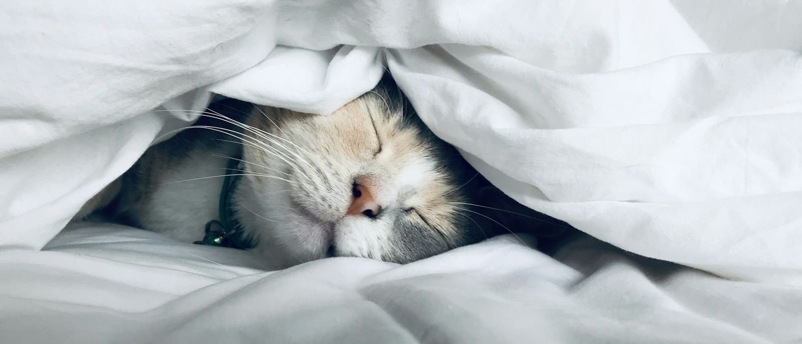 Why You Sleep Badly in Hotels, and How to Fix It